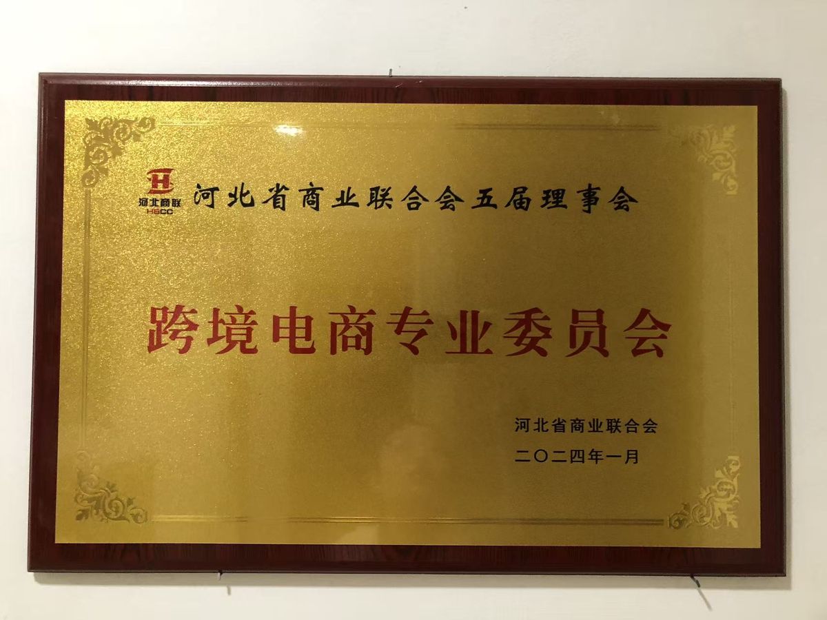 荣誉资质证书 17